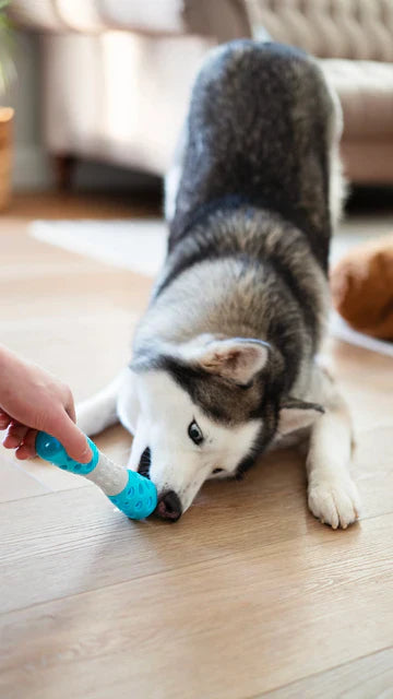 Totally Pooched | Toss'n Hourglass Dog Toy Near Me Toronto | ARMOR THE POOCH